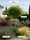 Image to render