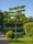 Image to render