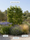 Image to render