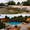 Image to render