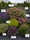Image to render