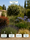 Image to render