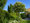 Image to render