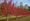 Image to render