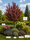 Image to render
