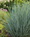 Image to render