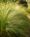 Image to render