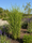 Image to render