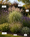 Image to render