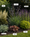 Image to render