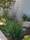 Image to render