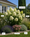 Image to render