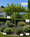 Image to render
