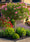 Image to render