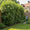 Image to render