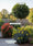 Image to render