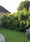 Image to render
