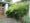 Image to render