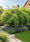 Image to render