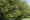 Image to render