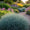 Image to render
