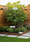 Image to render