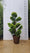 Pot 25L avec proposition Topiaire en Bonsai
