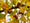 Image to render