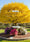 Image to render