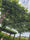 Image to render