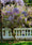 Image to render