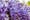 Image to render