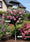 Image to render