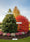 Image to render