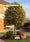 Image to render