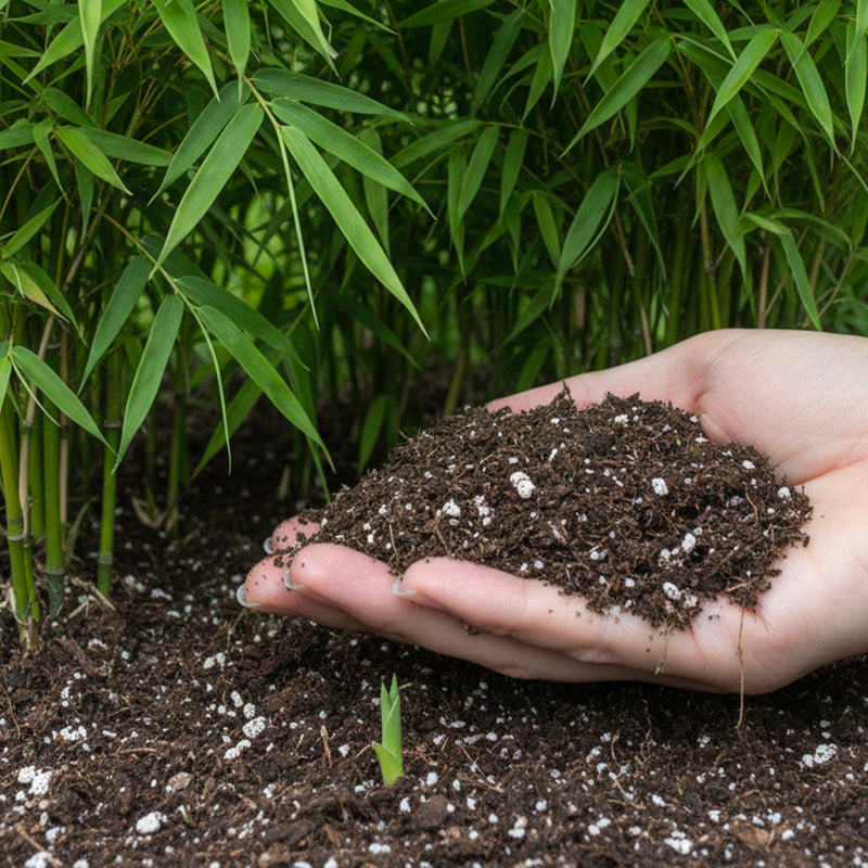 Terreau pour bambou - 40 L