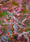 Image to render