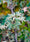Image to render
