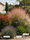 Image to render