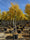 Image to render