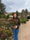 Image to render