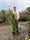 Image to render