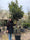 Image to render