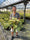 Image to render
