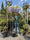Image to render