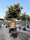 Image to render