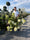 Image to render