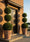 Image to render