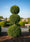 Image to render