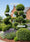 Image to render
